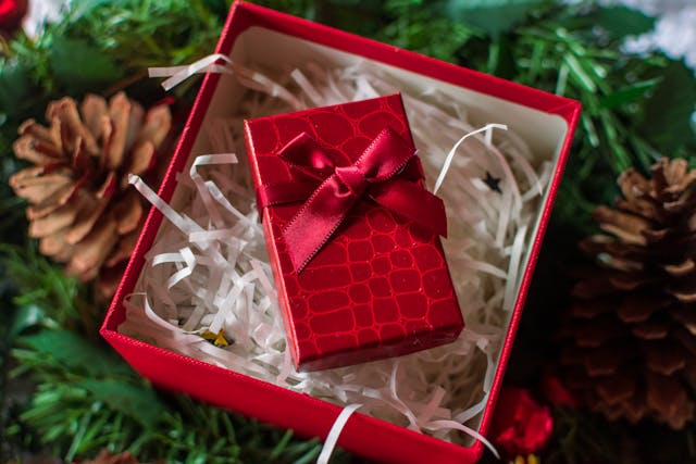 Cadeautjes naaien met kerst